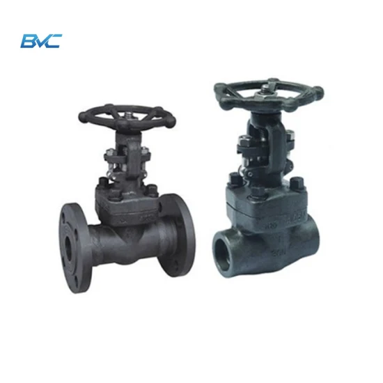 Aço forjado A105/Lf2/F11/F304/F316/F321 Flange e rosca e solda de topo e válvula gaveta de solda de soquete